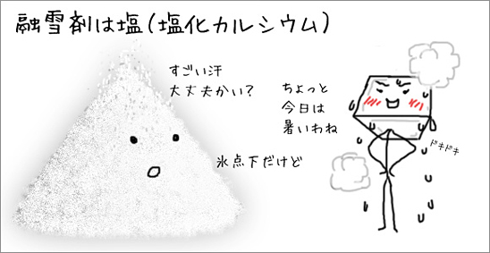 雪の季節は融雪剤に注意